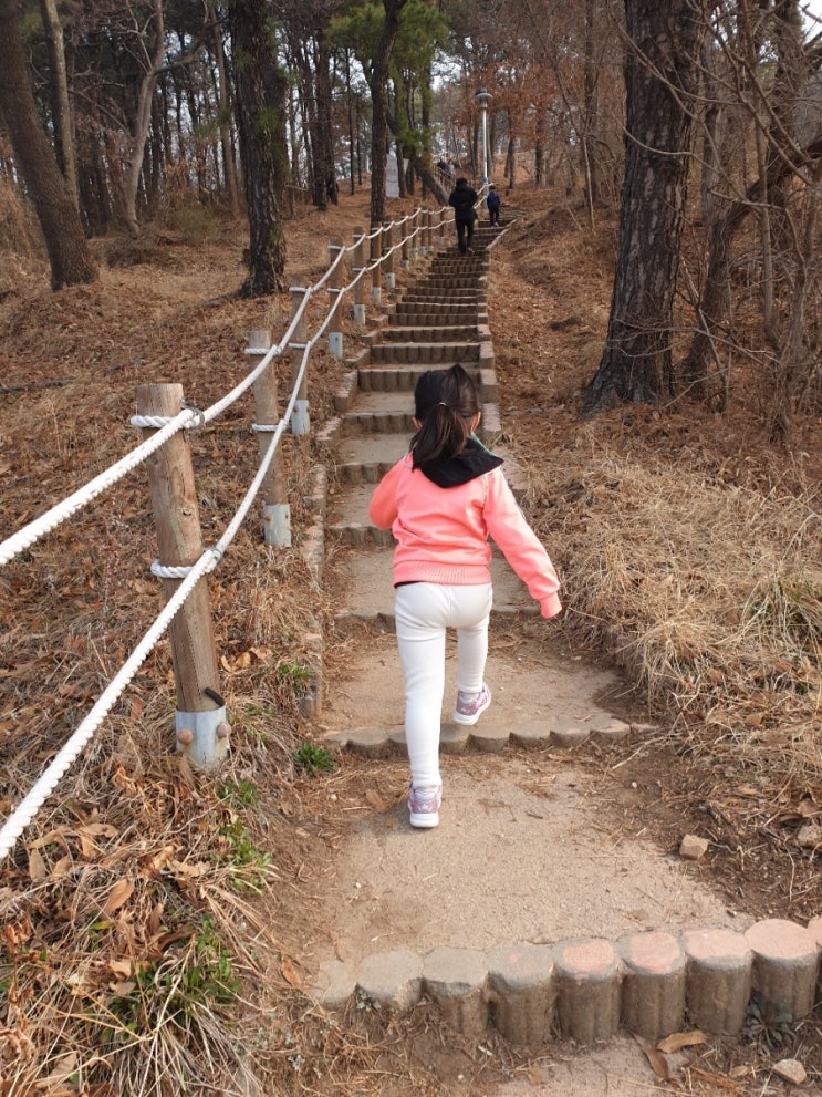  챌린지 5일차.