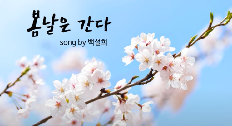 노래 《봄날은 간다》 가사 :  연분홍 치마가 봄바람에 (ft. 백설희 버전, 주현미 버전)