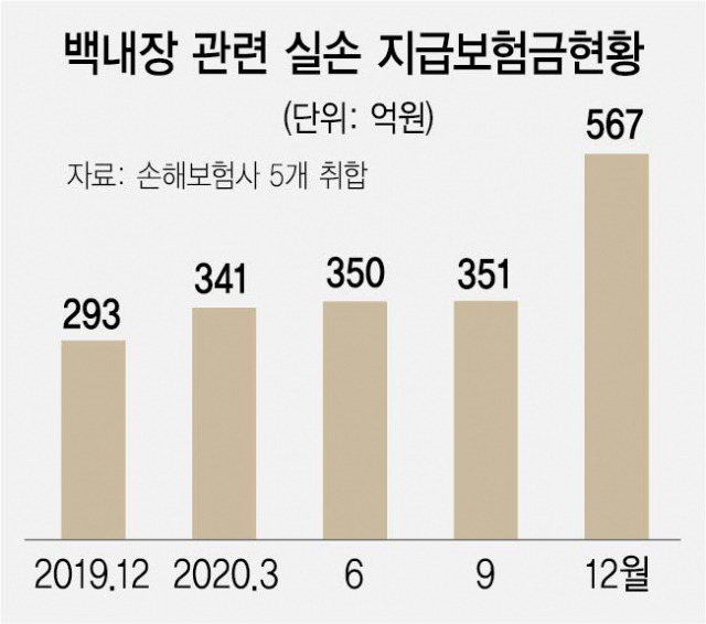 보험-의료계 갈등으로 번진 '실손보험 적자'