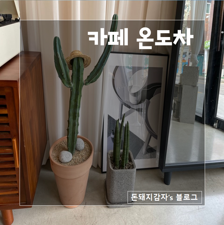  다쿠아즈 맛집 불광 분위기 좋은 카페 온도차(feat. 다쿠아즈마카롱차이)