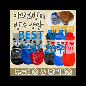  직접찾은 강아지방석 대박 초이스 구성이 참 좋아요