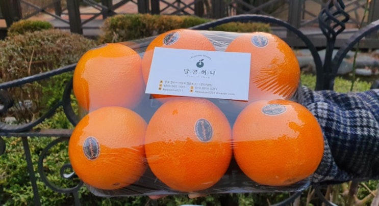  청주 과일바구니 가게 산남동 과일배달 : 달콤허니