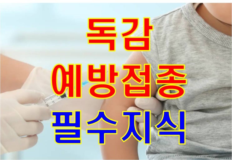  예방접종 필수지식 - 독감(인플루엔자) 예방접종
