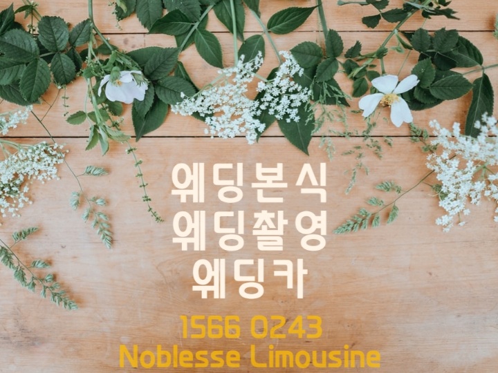 웨딩카 웨딩촬영이동 결혼식이동 알아보세요