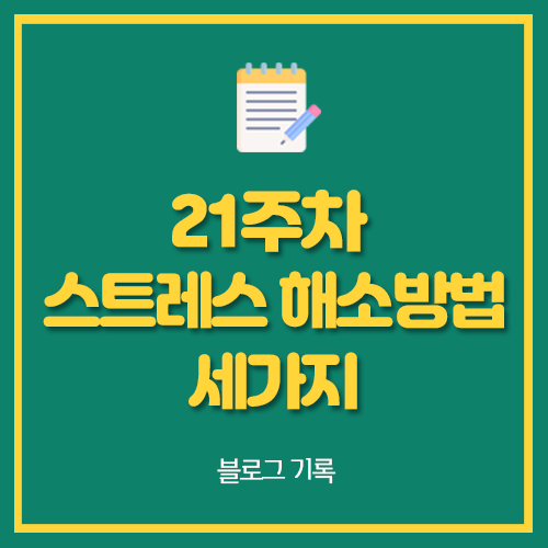  21주차 스트레스 해소방법 세가지