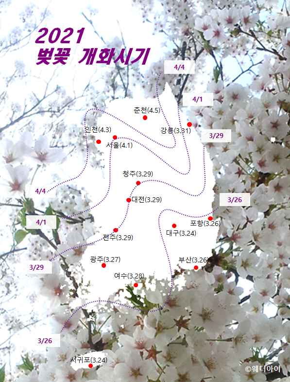  봄이 온다 봄이와~ 처남과 함께 자전거 타기(보라매공원-여의도한강공원)