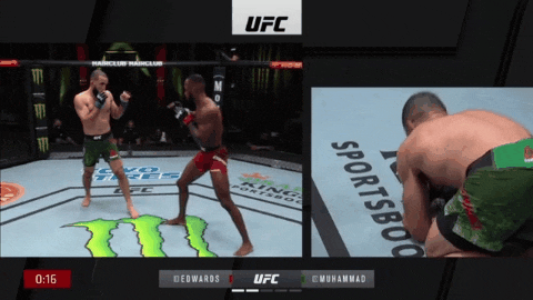 UFC 베가스 21: 에드워즈 vs 무하메드 리뷰(GIF) - 대반칙 시대