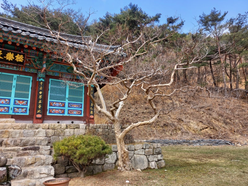 천년고찰 영천 깊은 산 속 부귀사 : 네이버 블로그