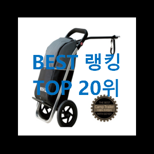  명품 일렉기타 아이템 후회 안할겁니다 ㅎㅎ
