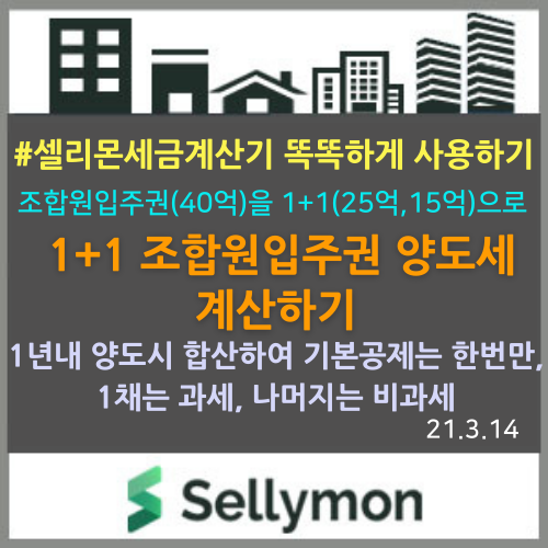  1+1 조합원입주권 양도세를 계산하는 방법을 알려드립니다. ~ 셀리몬 똑똑하게 사용하기