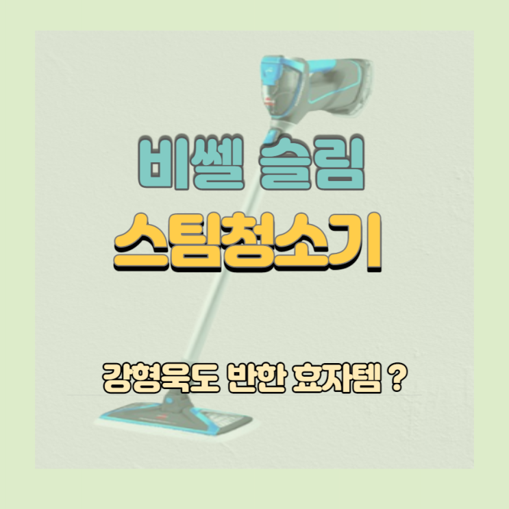비쎌 슬림 스팀청소기 강형욱도 반한 이유?