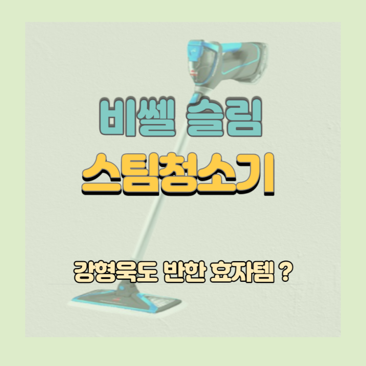  비쎌 슬림 스팀청소기 강형욱도 반한 이유?