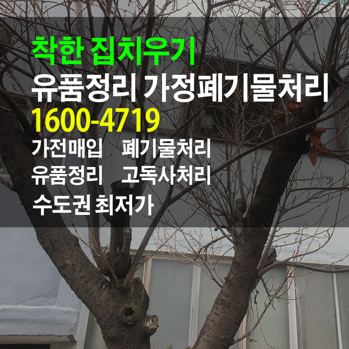  앞뒤로 나무와 주차된 차량 때문에 인천 유품정리는 어려웠지만 결국 모두 정리했습니다.