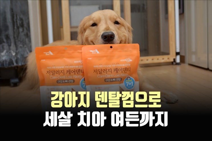  강아지덴탈껌 구강, 치석제거에는 저알러지 케어덴티