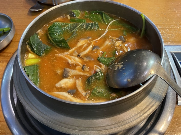  [맛집] 파주롯데아울렛 근처 맛집 : 청산어죽
