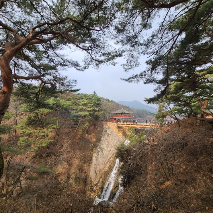  경기근교 당일치기 여행 제천 의림지 다녀왔어요~