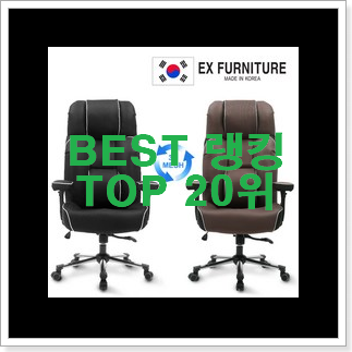 만족스러운 메쉬의자 선택 참 맘에드는군요 만족스러운 메쉬의자 선택 참 맘에드는군요