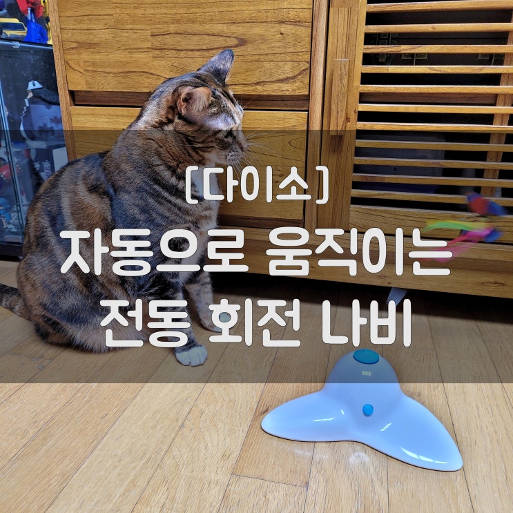  [애완용품] 다이소 - 자동으로 움직이는 전동 회전 나비 [고양이 장난감]