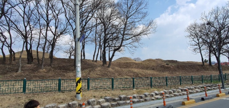  대구 데이트하기 좋은 불로동 고분공원!