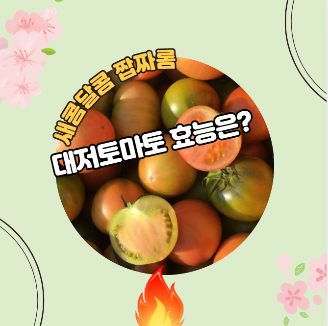  대저 토마토 효능 알고 먹으면 더 좋지요~