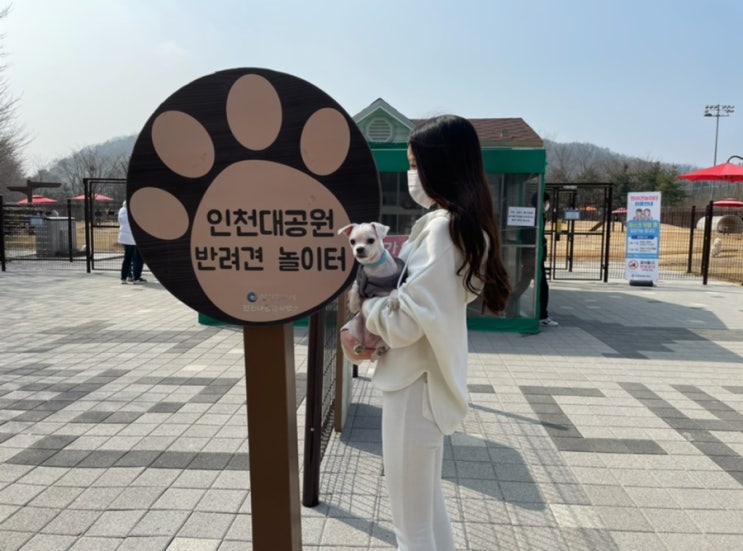  (주말일상) 인천대공원 반려견놀이터 무료/애견등록 필수!