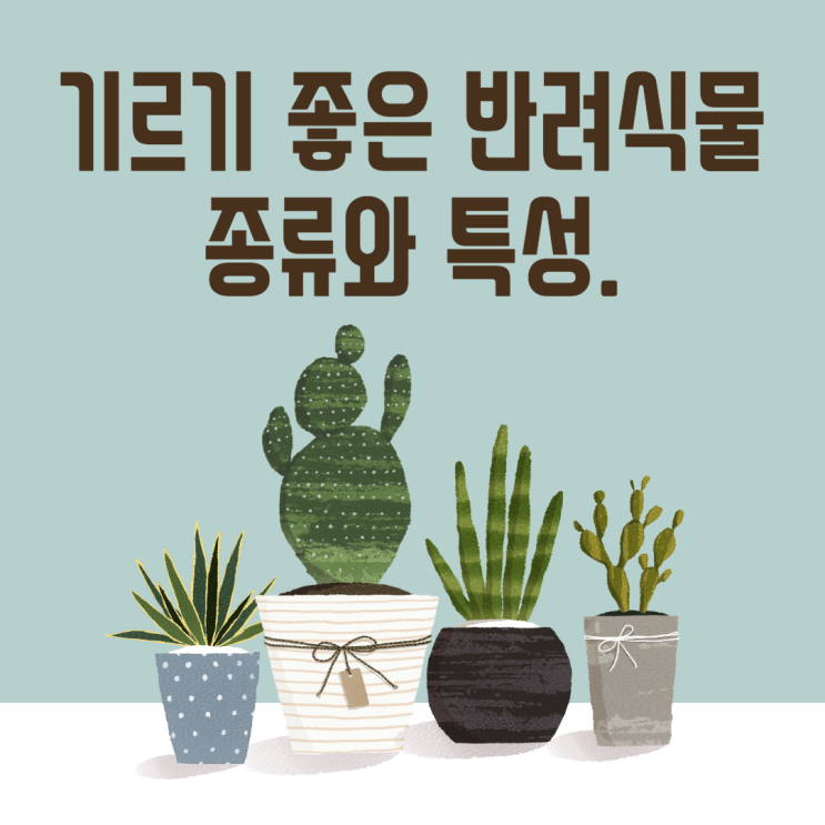  가정에서 취미생활로 기르기쉬운 반려식물들.