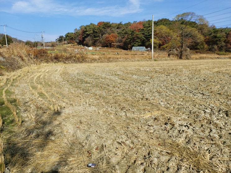  토지매매 전남 광주 부동산