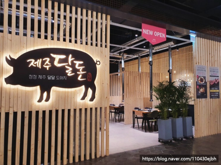  [일산 백석 벨라시타 맛집] 제주달돈- 제주산 돼지고기 먹고 온 후기