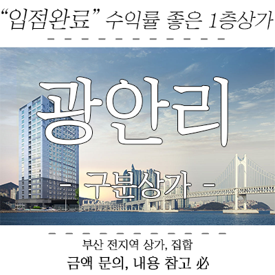 광안동 상가 분양, 임차인 입점된 광안리 도로변 1층 구분상가 광안동 상가 분양, 임차인 입점된 광안리 도로변 1층 구분상가