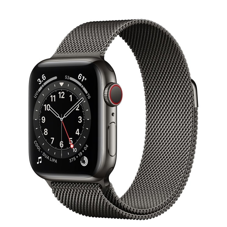  Apple 2020년 애플워치 6, GPS+Cellular, 그래파이트 스테인리스 스틸 케이스, 그래파이트 밀레니즈 루프