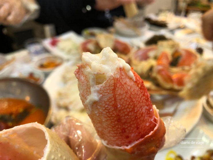  포항죽도어시장 대게맛집 맛있는포항33 박달대게코스