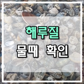 안전한 해루질을 위한 물때 확인 안전한 해루질을 위한 물때 확인