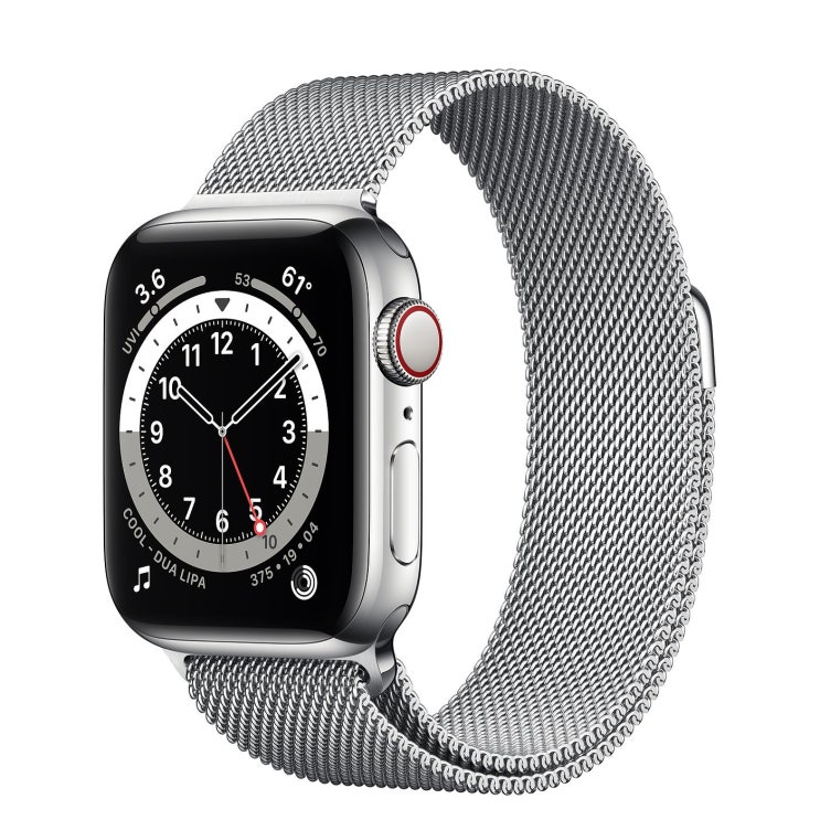  Apple 2020년 애플워치 6, GPS+Cellular, 실버 스테인리스 스틸 케이스, 실버 밀레니즈 루프