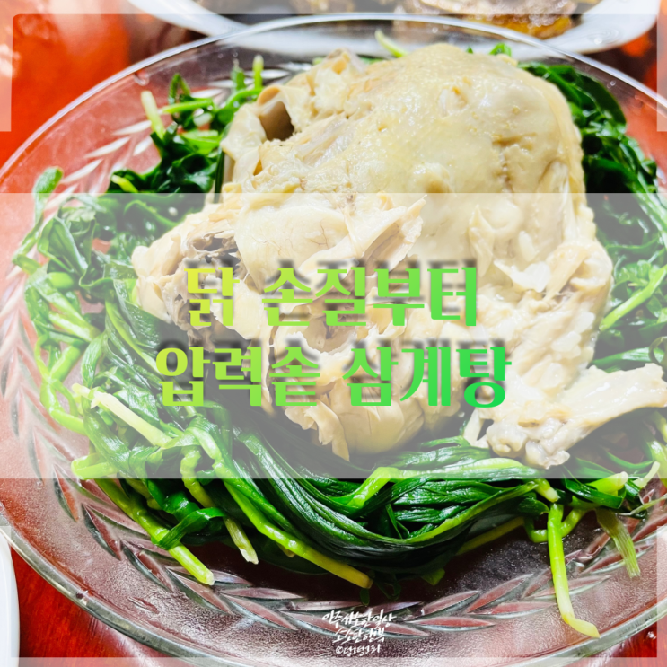  삼계탕 닭손질부터 압력솥으로 간단하게 끓이는 법