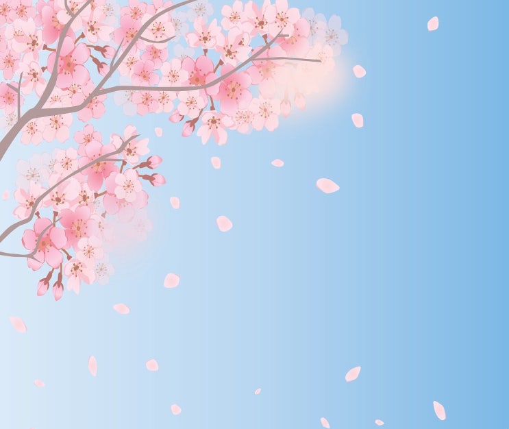  봄에 꽃들은 세 번씩 핀다