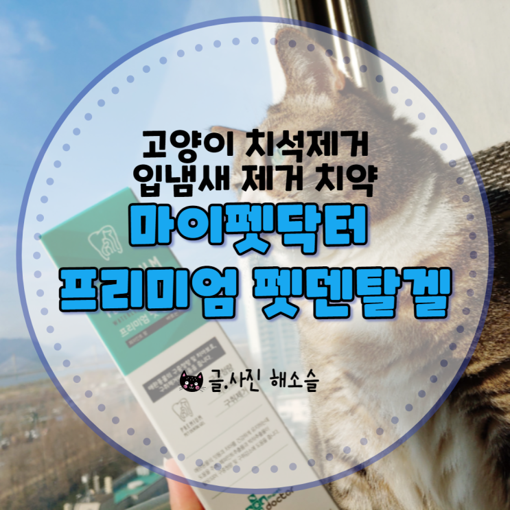 입냄새 제거를 위한 고양이 치석제거 치약, 마이펫닥터 프리미엄 펫 덴탈 겔