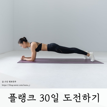  플랭크 30일 도전하기