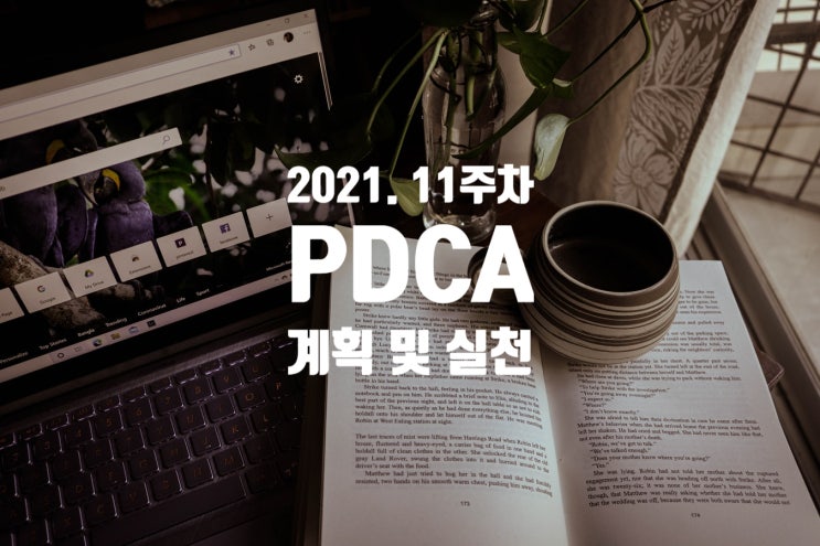  2021년 계획과 실천 11주차 점검 [나를 식혀야 할때]