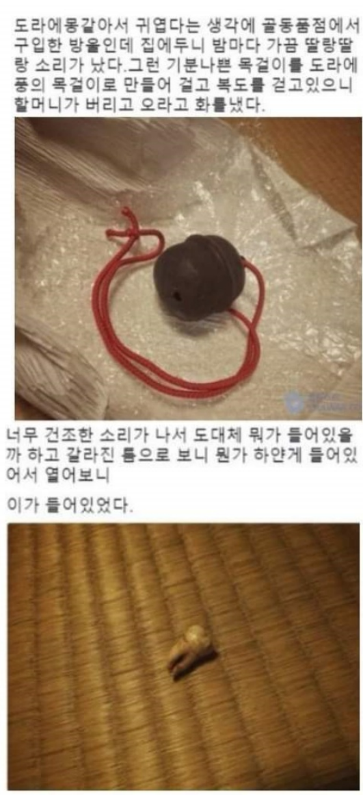  골동품점에서 구입한 방울의 비밀