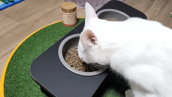 [ 매드머츠 ] 고양이수제간식 연어파우더로 만드는 영양식