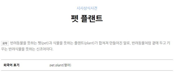  오늘의 단어 'Pet Plant 펫 플랜트'