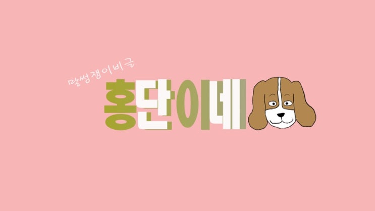 강아지 브이로그 /시민공원 캐치볼 도둑 비글이 나타났다?! 강아지 브이로그 /시민공원 캐치볼 도둑 비글이 나타났다?!