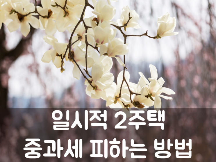  일시적 2주택, 중과세 피하는 방법