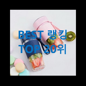  행복한선택 착즙기 가성비 순위 써보세요.