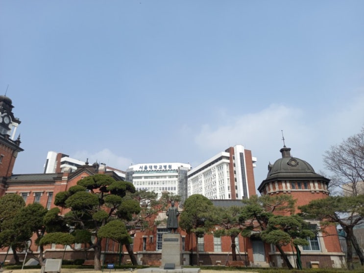  봄은 왔는데 마음의 봄은 어디에