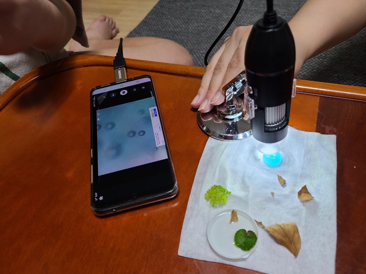  초등학생 선물로 좋은 티웨이 디지털 현미경 USB 컴퓨터 스마트폰 겸용 현미경 #내돈내산 #디지털현미경 #초등학생선물