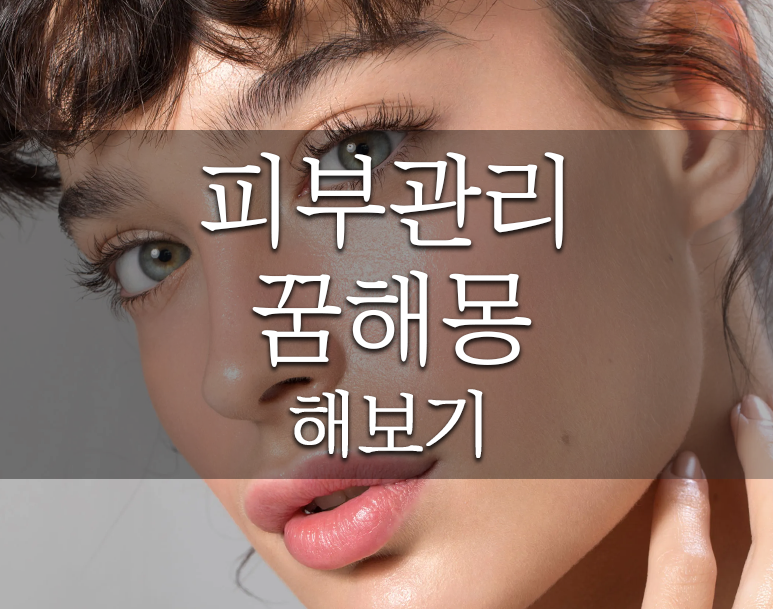 피부 꿈해몽 꿈풀이 해보기