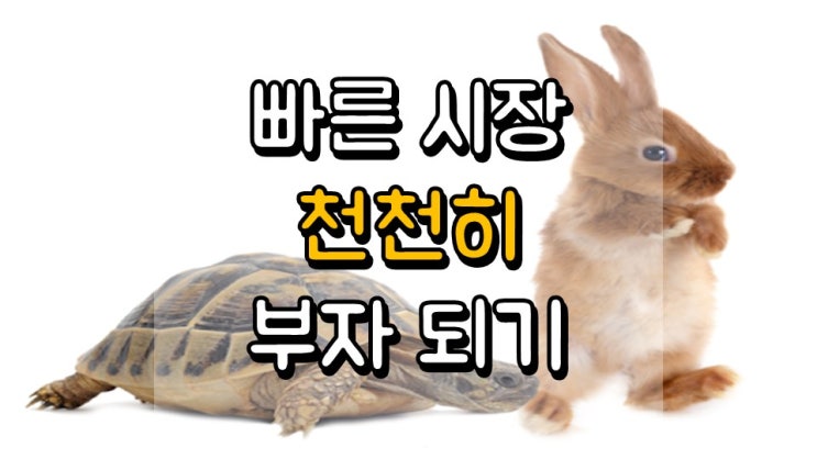  빠르게 움직이는 시장에서 천천히 부자 되기
