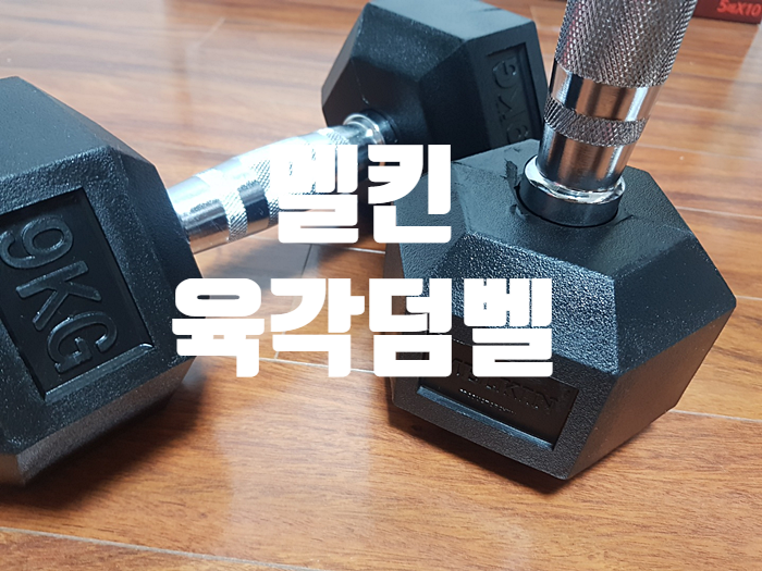 홈트레이닝으로 좋은 멜킨 육각덤벨과 헬스장갑 홈트레이닝으로 좋은 멜킨 육각덤벨과 헬스장갑