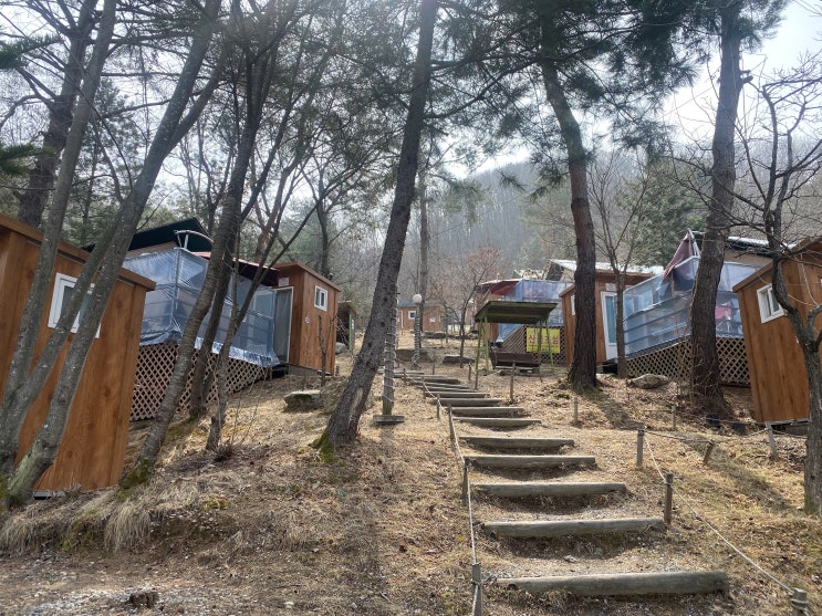  춘천 캠핑여행 ) 춘천숲자연휴양림 캠핑장/매직파이어 불멍/글램핑 21번방